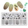 Dragonfly Flower Theme Rectangle Nail Stamping Plate Buttefly Design Nail Art Tool BBBXL-042