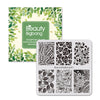 Floral Theme Square Nail Art Stamping Plates Leaf Design For Manicure BBBS-021