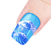 Ocean Theme Dolphin Fish Design Square Nail Art Stamping Plate BBBS-028