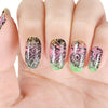 Butterfly Theme Wing Design Square Nail Art Stamping Plate BBBS-025