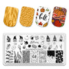 Nail Art Stamping Plates Food Design Stamp Templates Printing Stencil Tool