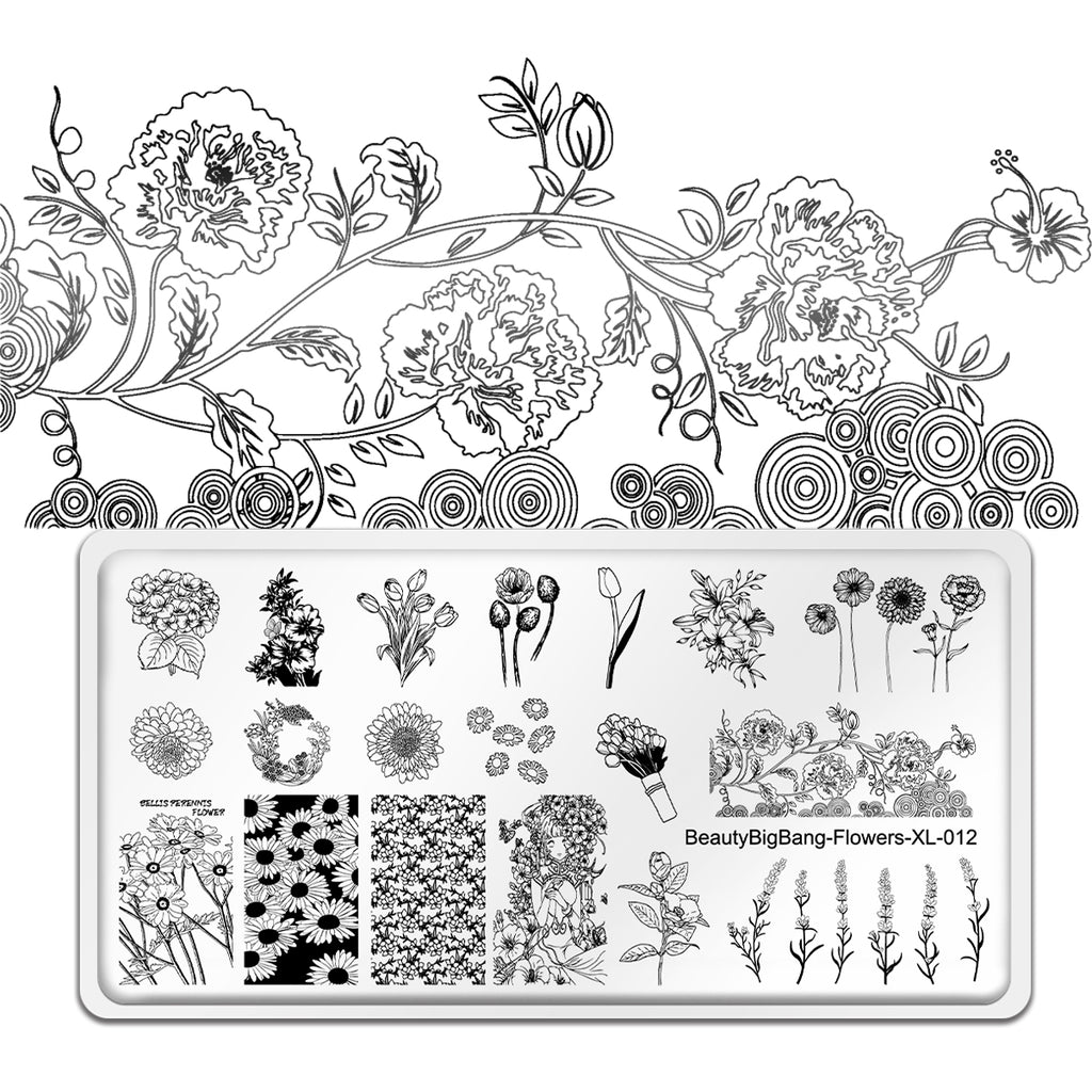 French Tip Nail Stamping Plates Fall Flower Leaf Line Curve Nail Stamping  Templates for Women Girls(1 Pcs)