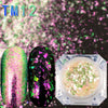 Nail Glitter Flakes Chameleon Pigment Manicure Nail Powder Decoration